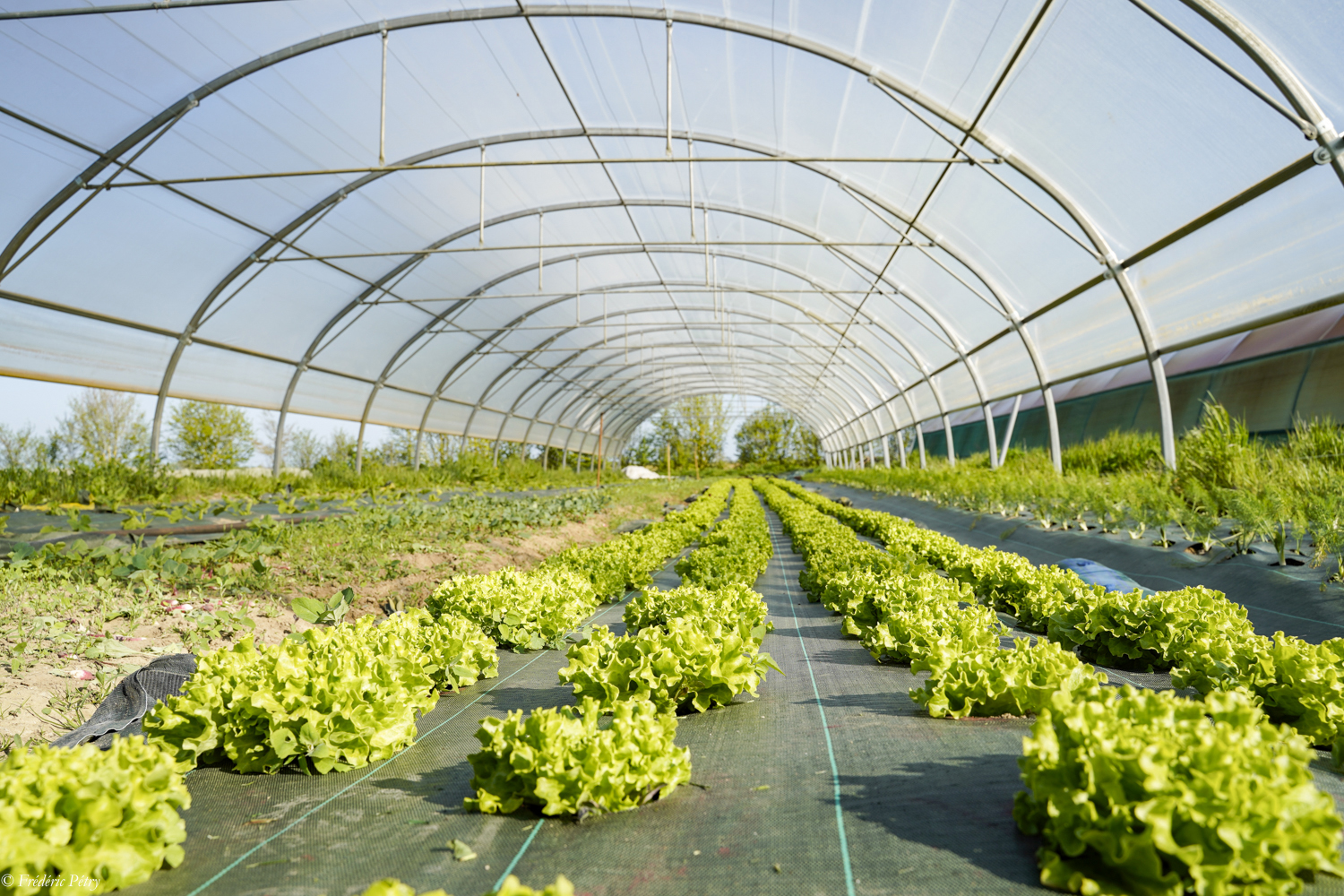 jardin bio Aspire